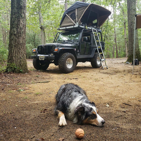 Raptor Series 100000-126800 OFFGRID - Voyager Rooftop Tent Olive Drab Polyester Roof Top