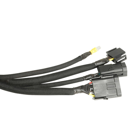 10653-P03.jpg