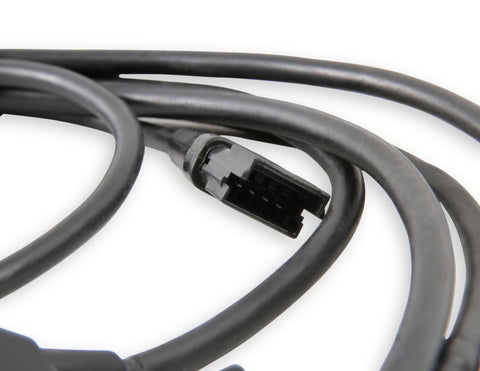 1bblharness_03.jpg