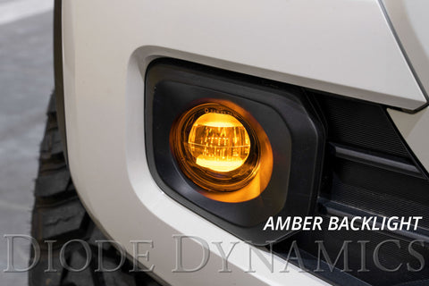 2021_toyota_tacoma_elite_foglamp_passenger_backlight_lbl_1.jpg