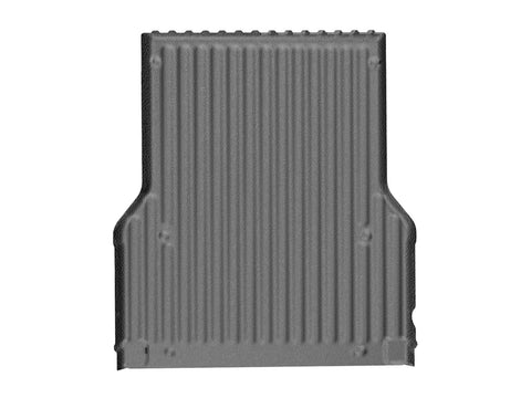 209549381.jpg