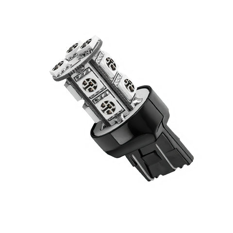 5003-005_B.jpg