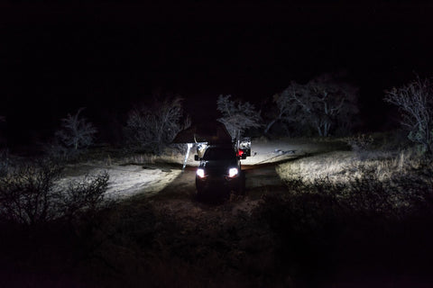 519_Aux_Light_23.jpg