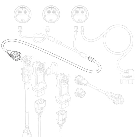 61301-20_illo.jpg