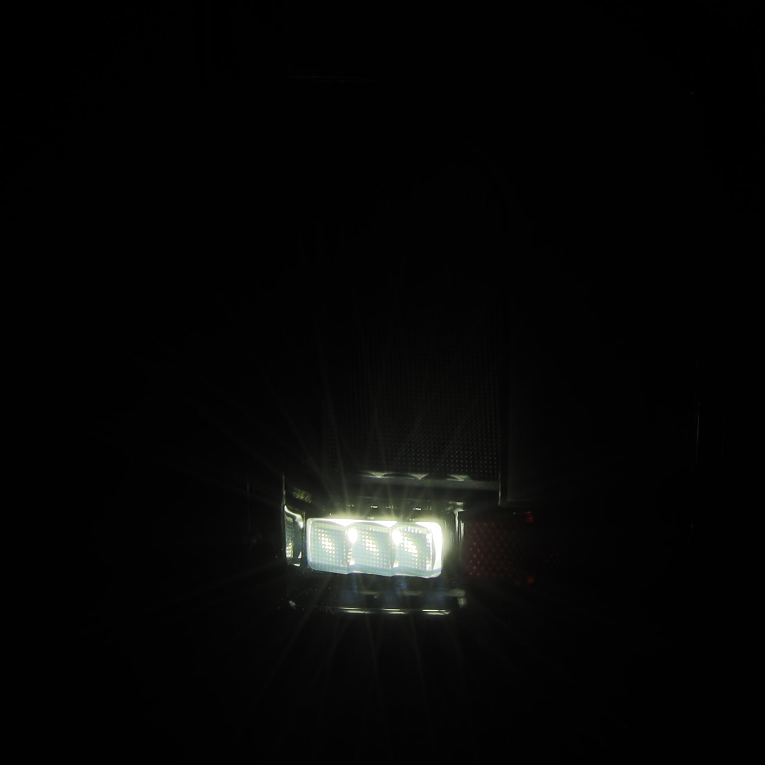 620078_5.jpg