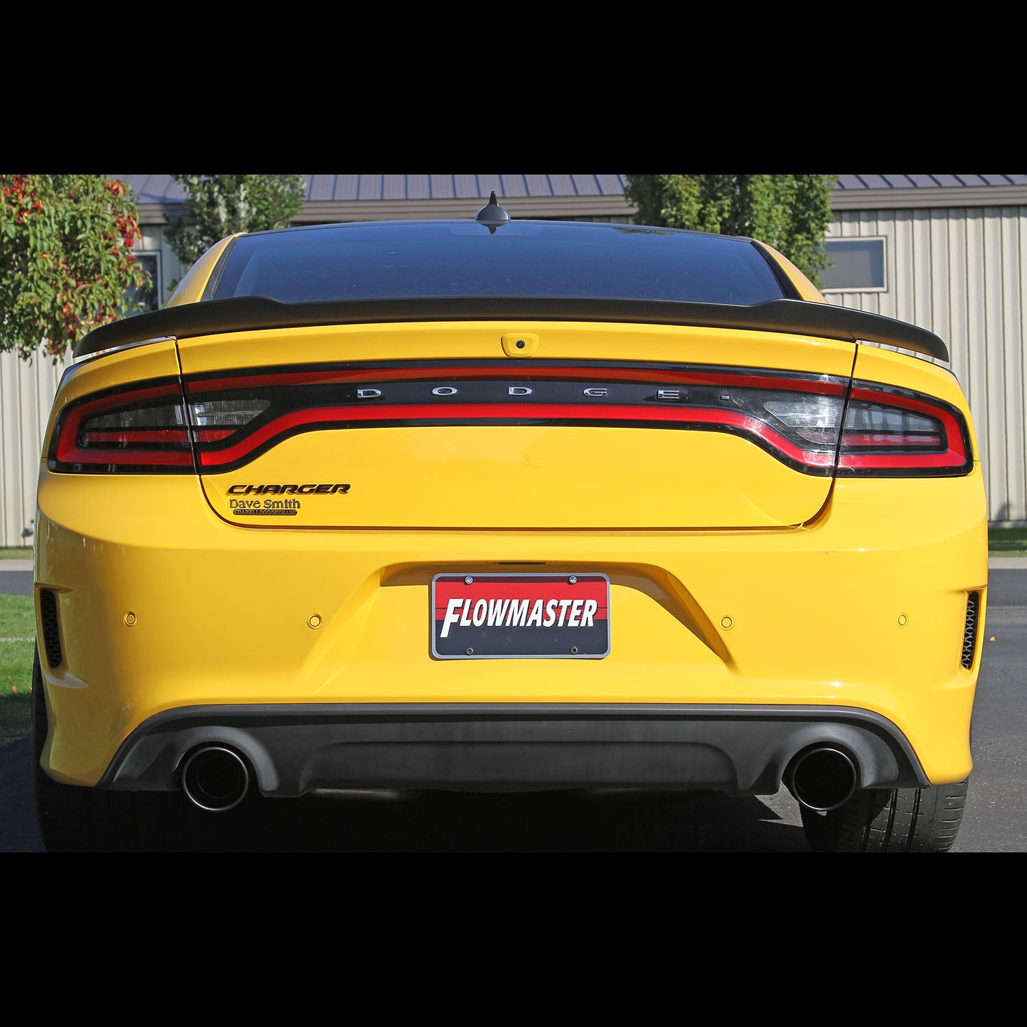 717935_5.jpg
