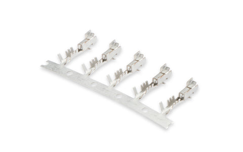 82893_04.jpg