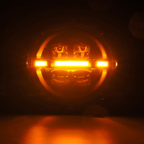 880867_7.jpg