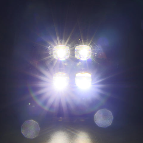 880868_5.jpg