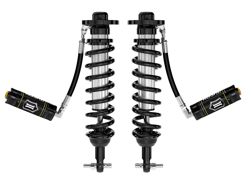 91818_Coilover_PAIR_STRT.jpg