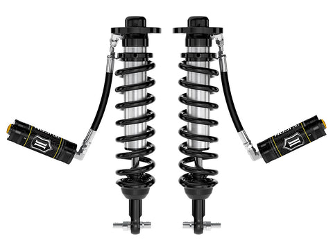 91818_Coilover_PAIR_STRT.jpg