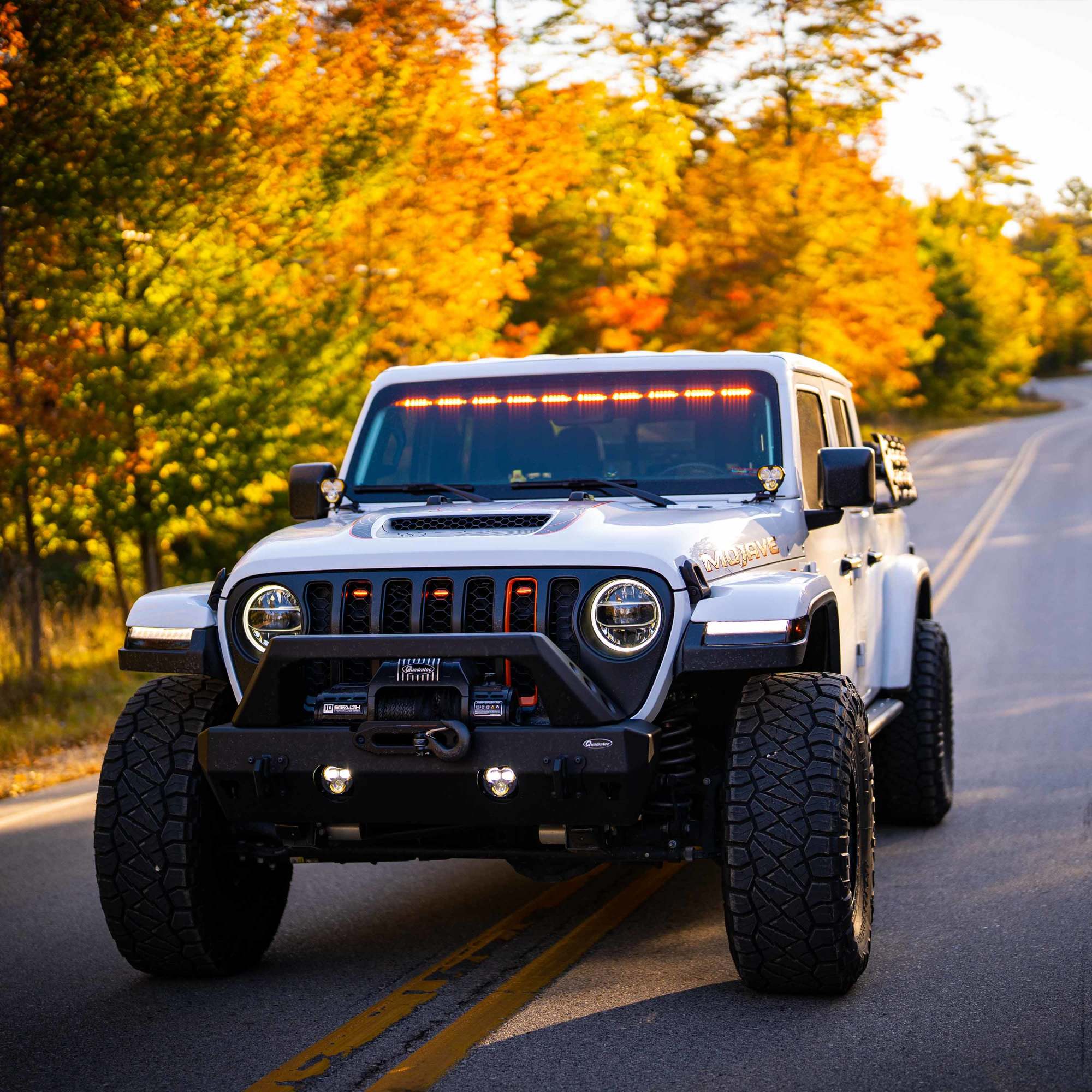 97149_Vehicle_Light_System_14.jpg