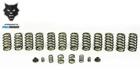 Pacbrake Spring 12 HD Valve Springs For 94-98 Ram 2500/3500 W/ P7100 Injection Pump