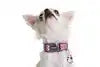 DOOG USA COLPBS-S COLLAR PINK/BLK STAR-SM