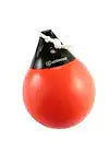 ANCHOR BUOY