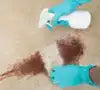 CARPET AND UPHOLSTRY STAIN REMOVER