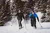 YUKON ELITE TREKKING SNOW POLES