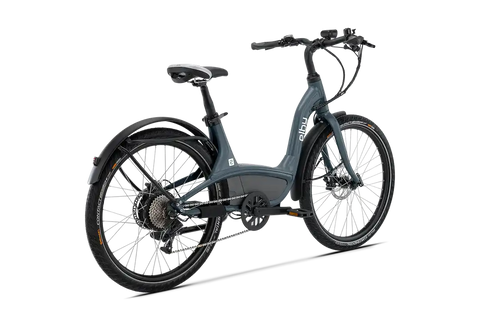 CHARCOAL S2- 9 SPEED DEALER PKG