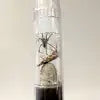 TRIMAX WB100 BUG ZOOKA
