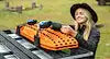 RHINO RACK MSIT STOW IT RECOVERY TRACTION BOARD HOL