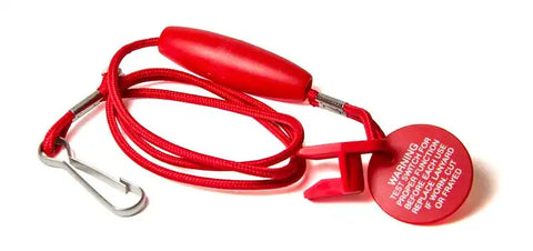LANYARD
