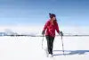 YUKON ELITE TREKKING SNOW POLES