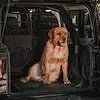 SPORTSMAN LNR SUBWOOF UNLIMIT 18-20