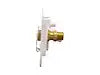 CITY/GRAVITY DISH BRASS CV
