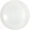 FROSTED GLOBE LENS