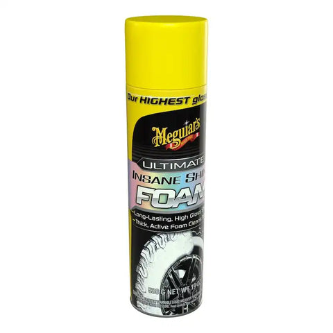 TIRE FOAM; HOGH GLOSS; 19 OUNCE