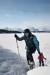 YUKON ELITE TREKKING SNOW POLES