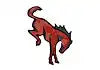 2021+ BRONCO REAR EMBLEM OVERLAY -B