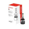 9012 INTENSE LED BULB (BOX OF 2)