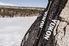 YUKON ELITE TREKKING SNOW POLES