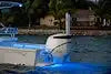 SEABLAZE QUATTRO UNDERWATER BLU/WHT