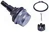 DORMAN BJ82305XL BALL JOINT