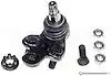 DORMAN B90346 BALL JOINT