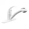 RV KITCHEN FAUCET WHITE