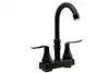 ELEGANT RV BAR FAUCET W/QUICK CONNE