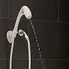 BODYSPA RV WH HANDHELD