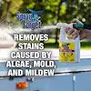 S&F RV CLEANER W/HOSE END SPRAY