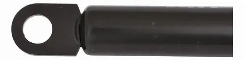 10MM 10X22' PLSC SKT 100#