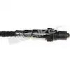 WALKER PROD. 350-35019 OXYGEN SENSOR