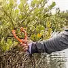 YAKGEAR 01-0083 BRUSH GRIPPER ORANGE