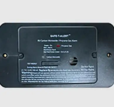 COMBINATION CARBON MONOXIDE/PROPANE