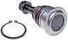 DORMAN BJ81016XL BALL JOINT
