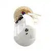 DELPHI FG0092 FUEL PUMP MODULE ASSEM