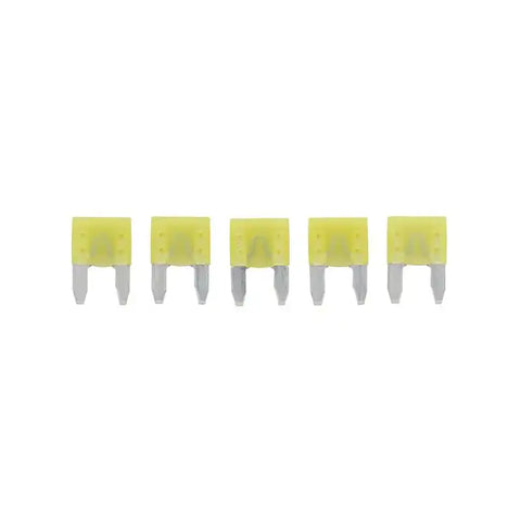 5PK BP/ATM-20 FUSES