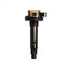 COIL FLAME-THROWER FORD V6 ECOBOOST