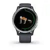 Garmin 010-N2173-01 VENU SPORTSWATCH  GRANITE/SILVER REFURBISHED